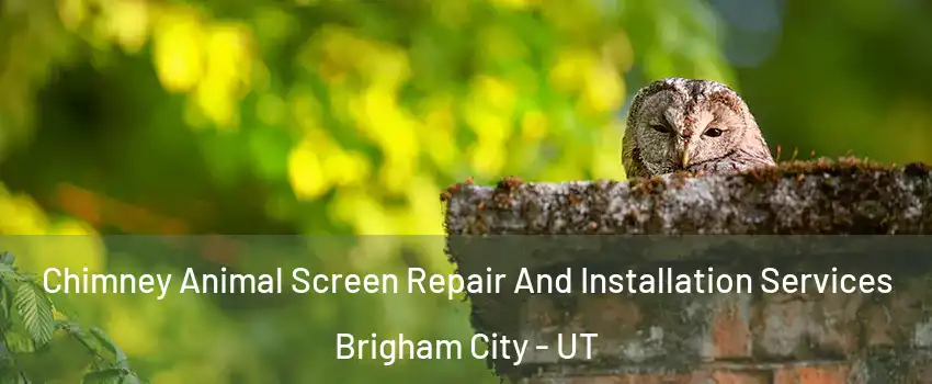  Chimney Animal Screen Repair And Installation Services Brigham City - UT