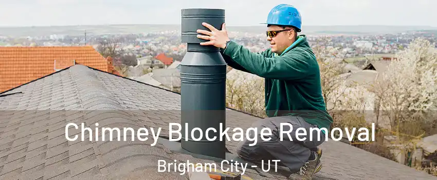  Chimney Blockage Removal Brigham City - UT