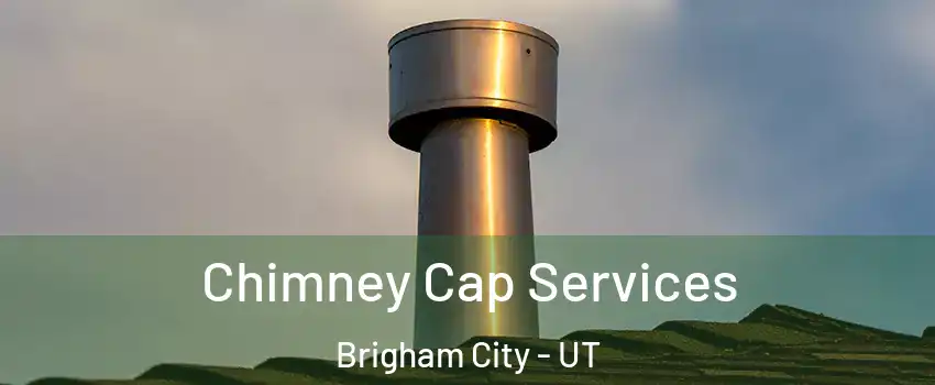  Chimney Cap Services Brigham City - UT