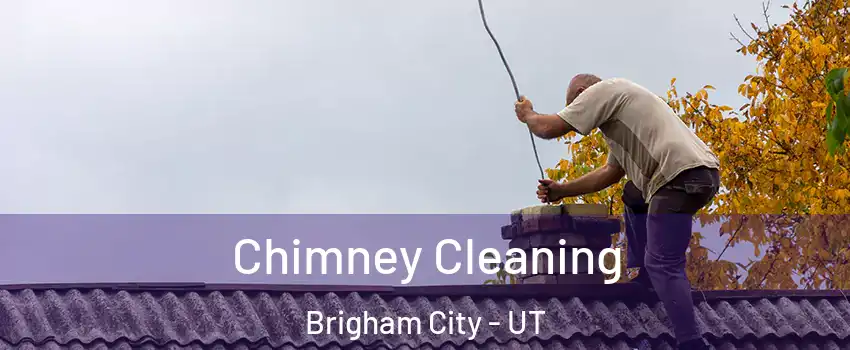  Chimney Cleaning Brigham City - UT