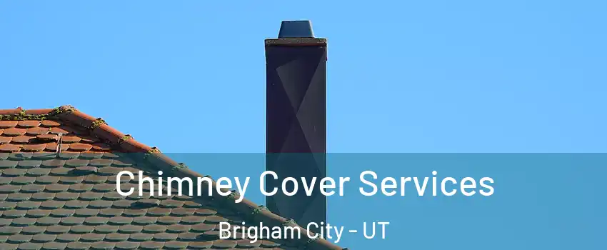  Chimney Cover Services Brigham City - UT