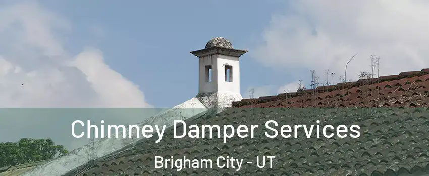  Chimney Damper Services Brigham City - UT