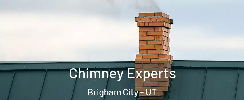  Chimney Experts Brigham City - UT