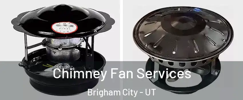  Chimney Fan Services Brigham City - UT