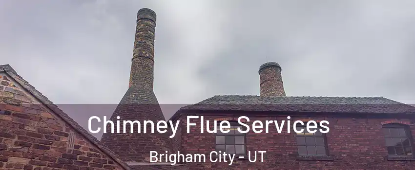  Chimney Flue Services Brigham City - UT