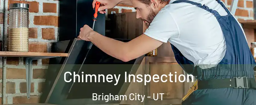 Chimney Inspection Brigham City - UT