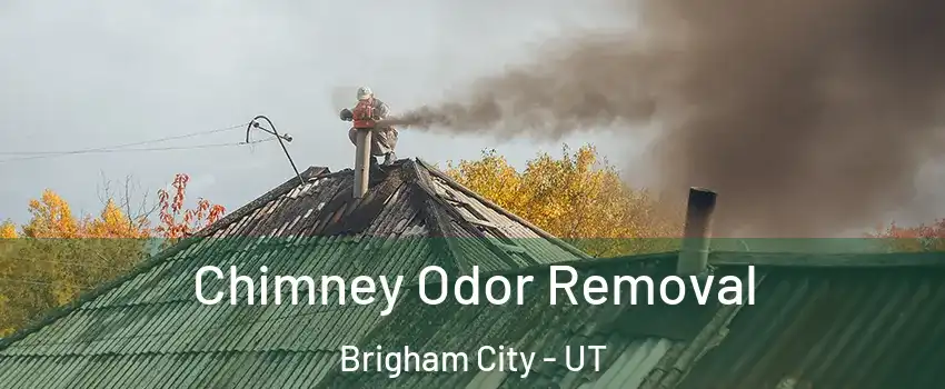  Chimney Odor Removal Brigham City - UT
