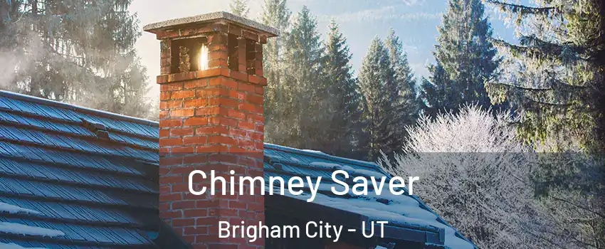  Chimney Saver Brigham City - UT
