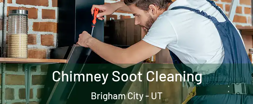  Chimney Soot Cleaning Brigham City - UT