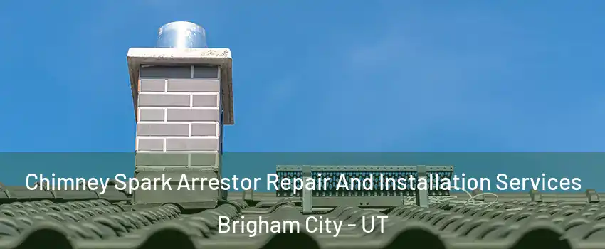 Chimney Spark Arrestor Repair And Installation Services Brigham City - UT