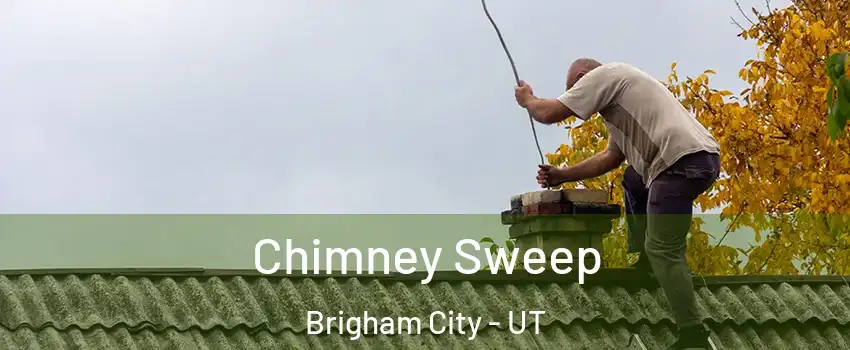  Chimney Sweep Brigham City - UT