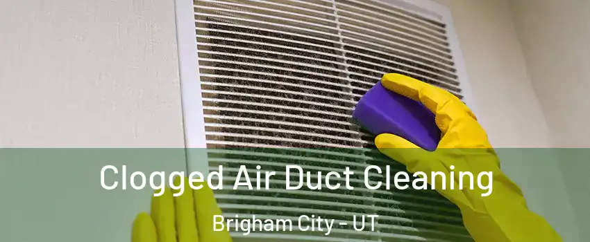  Clogged Air Duct Cleaning Brigham City - UT