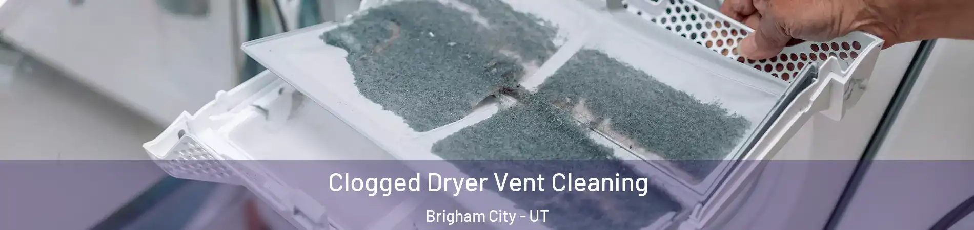  Clogged Dryer Vent Cleaning Brigham City - UT