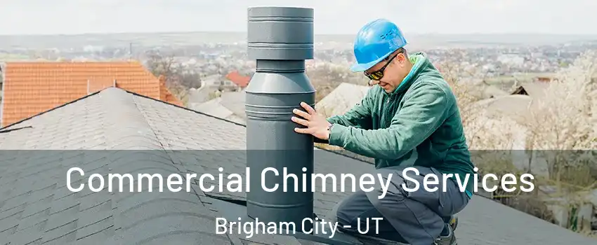  Commercial Chimney Services Brigham City - UT