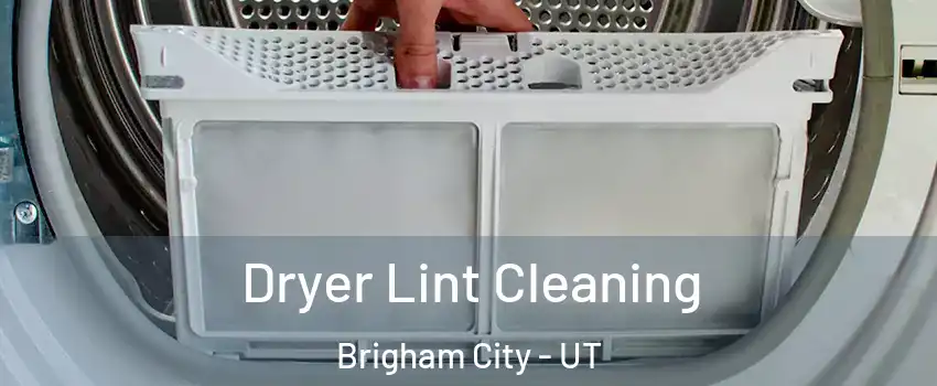  Dryer Lint Cleaning Brigham City - UT