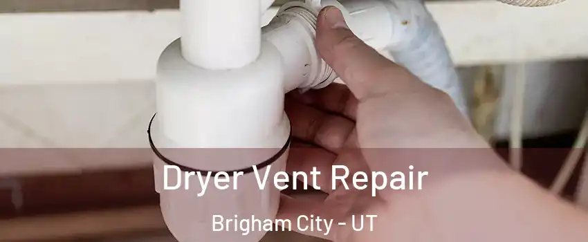  Dryer Vent Repair Brigham City - UT