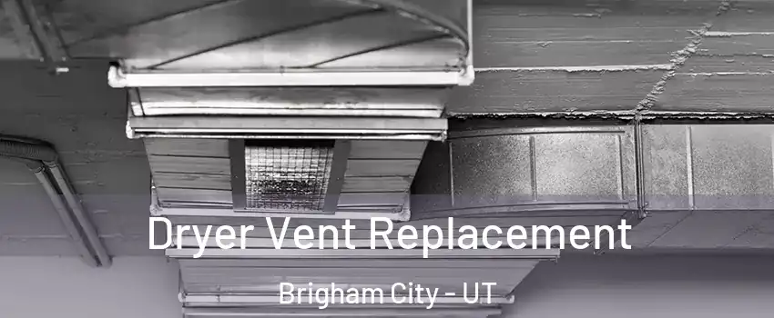  Dryer Vent Replacement Brigham City - UT