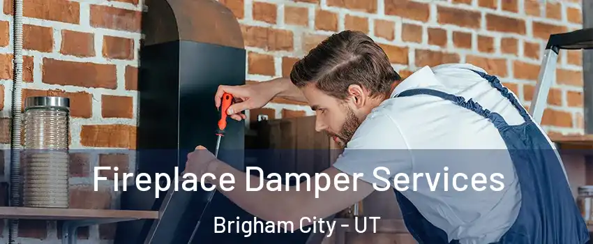  Fireplace Damper Services Brigham City - UT