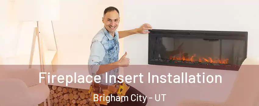  Fireplace Insert Installation Brigham City - UT