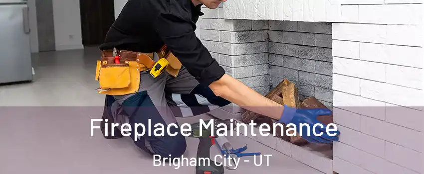  Fireplace Maintenance Brigham City - UT