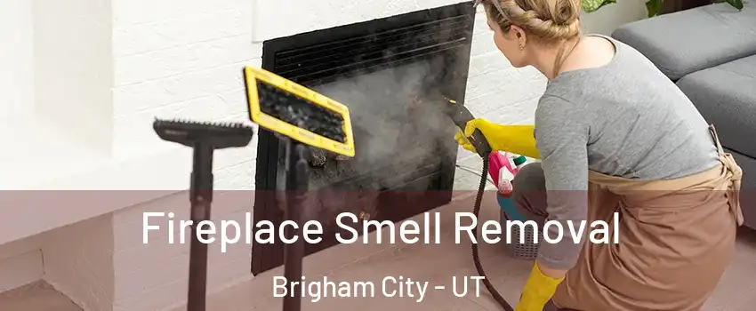  Fireplace Smell Removal Brigham City - UT