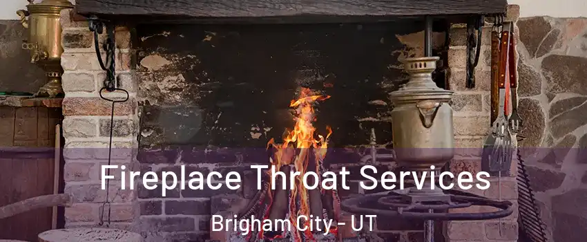  Fireplace Throat Services Brigham City - UT