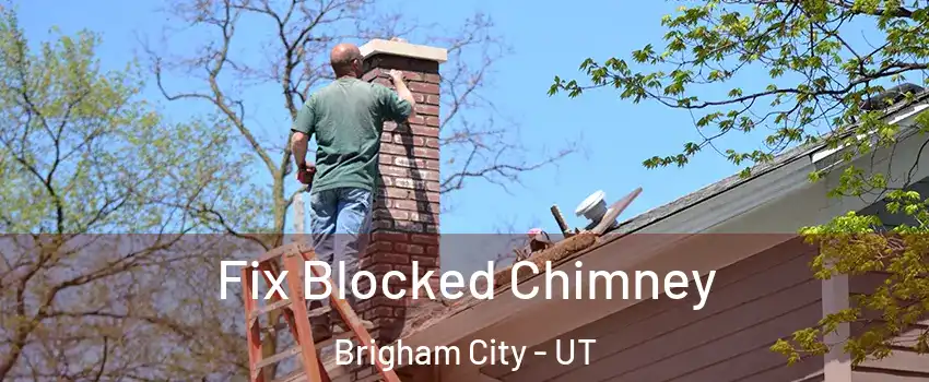  Fix Blocked Chimney Brigham City - UT