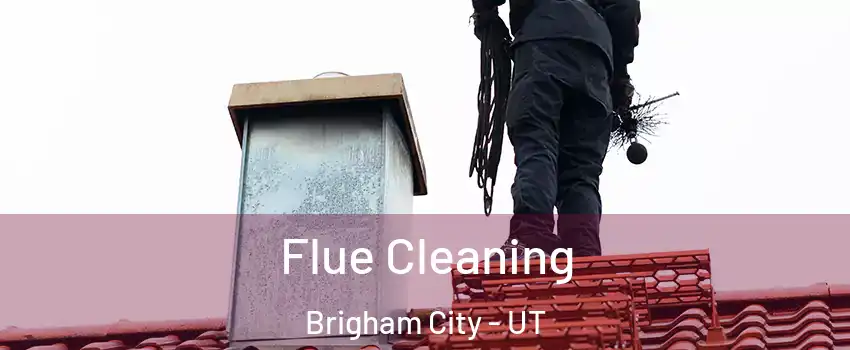  Flue Cleaning Brigham City - UT