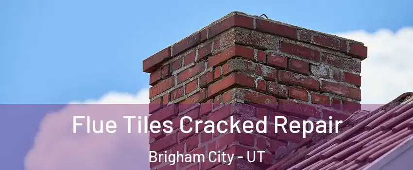  Flue Tiles Cracked Repair Brigham City - UT