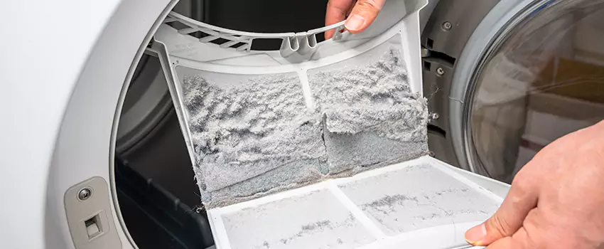 Best Dryer Lint Removal Company in Brigham City, Utah