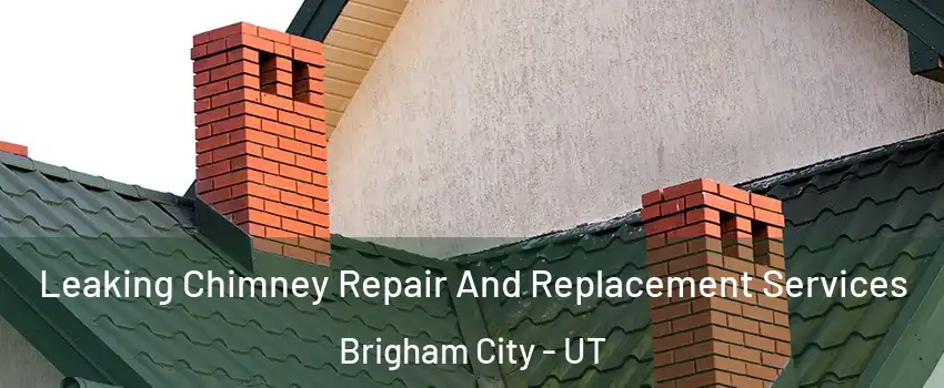  Leaking Chimney Repair And Replacement Services Brigham City - UT