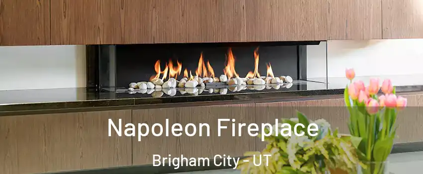  Napoleon Fireplace Brigham City - UT