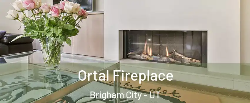  Ortal Fireplace Brigham City - UT