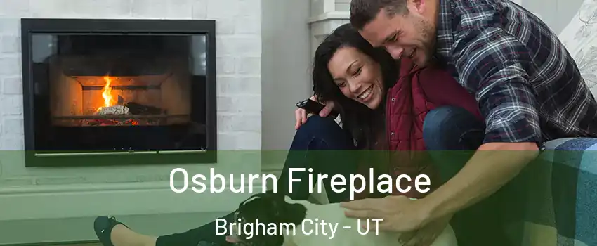  Osburn Fireplace Brigham City - UT