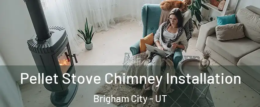  Pellet Stove Chimney Installation Brigham City - UT