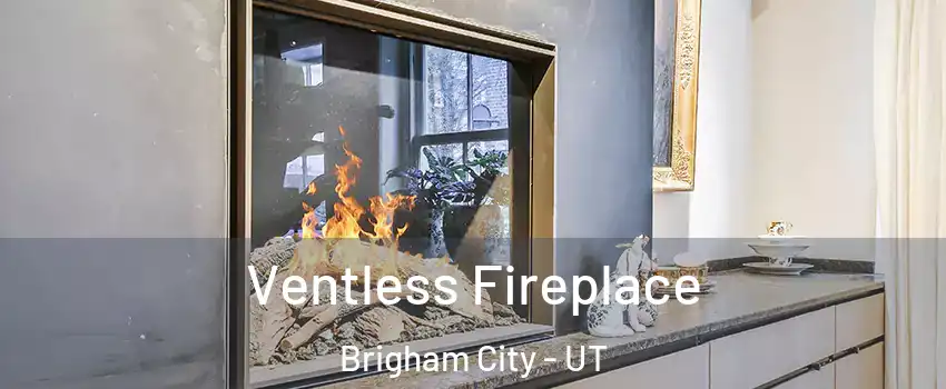  Ventless Fireplace Brigham City - UT